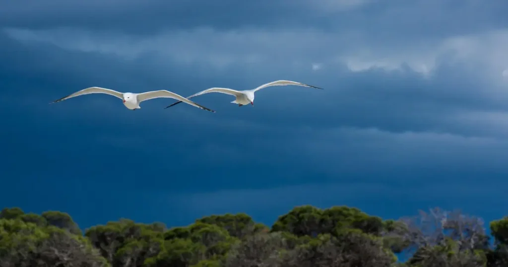 Oração de agradecimento a Deus por tudo