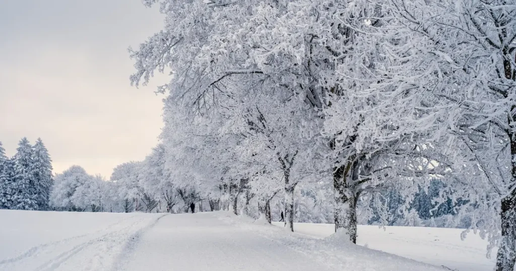 Agradecendo a deus pelo frio