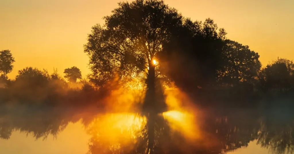 Oração de agradecimento pela tarde