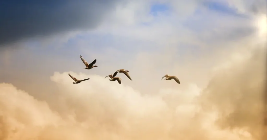 Oração de agradecimento pelo dia