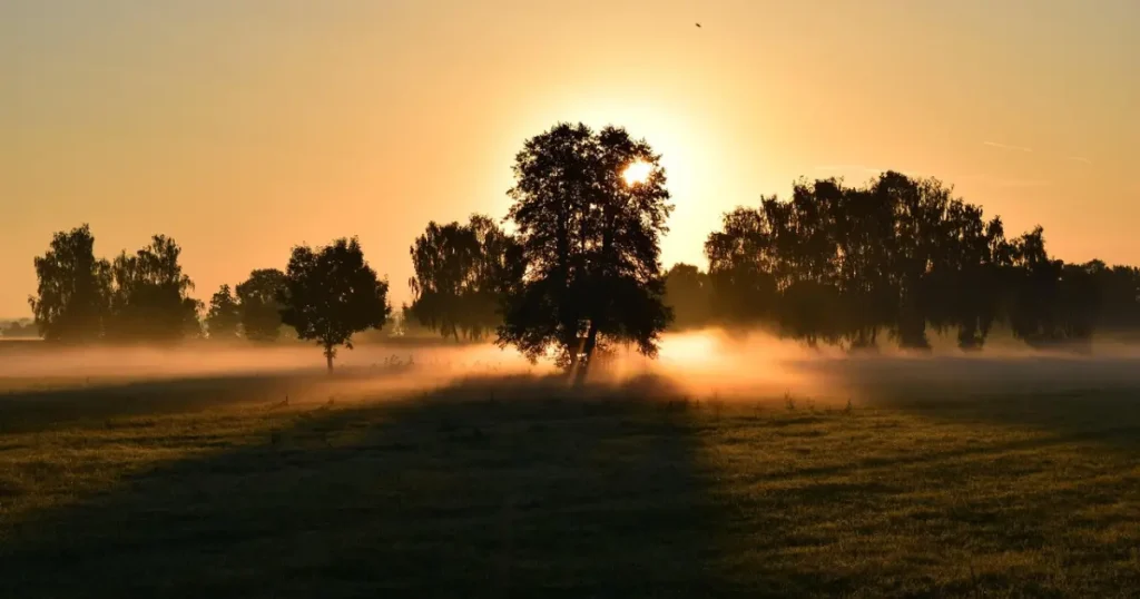 Oração de agradecimento